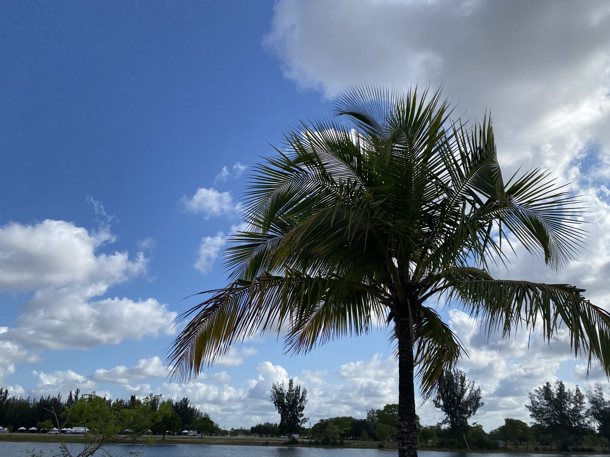 Introducing the Worst Times to Visit Miami